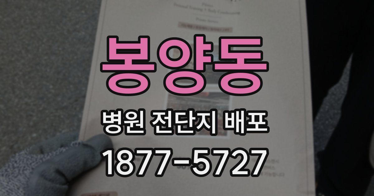 봉양동 병원 전단지 배포
