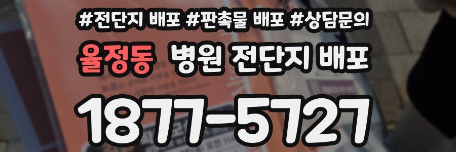 율정동 병원 전단지 배포