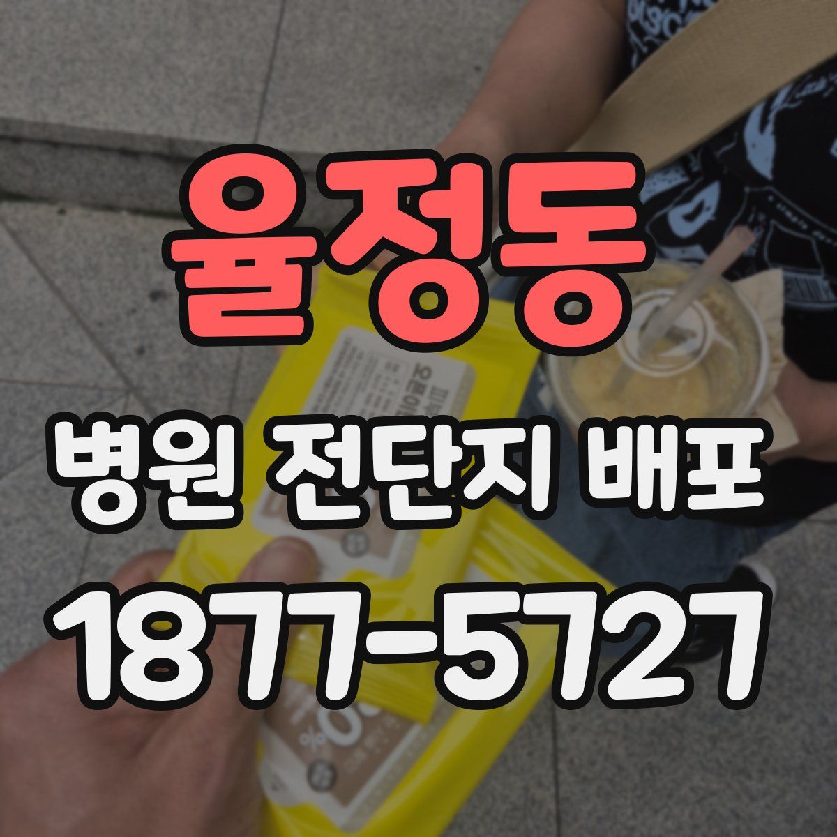 율정동 병원 전단지 배포