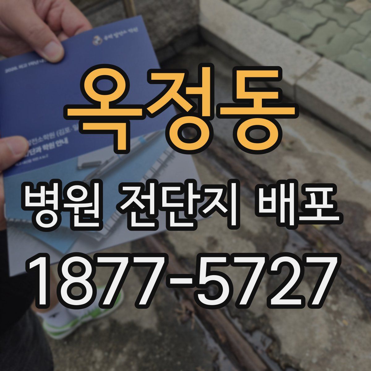 옥정동 병원 전단지 배포