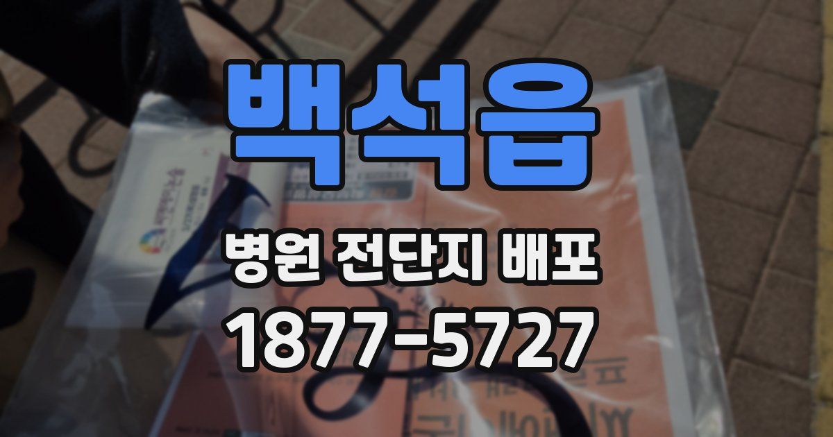 백석읍 병원 전단지 배포