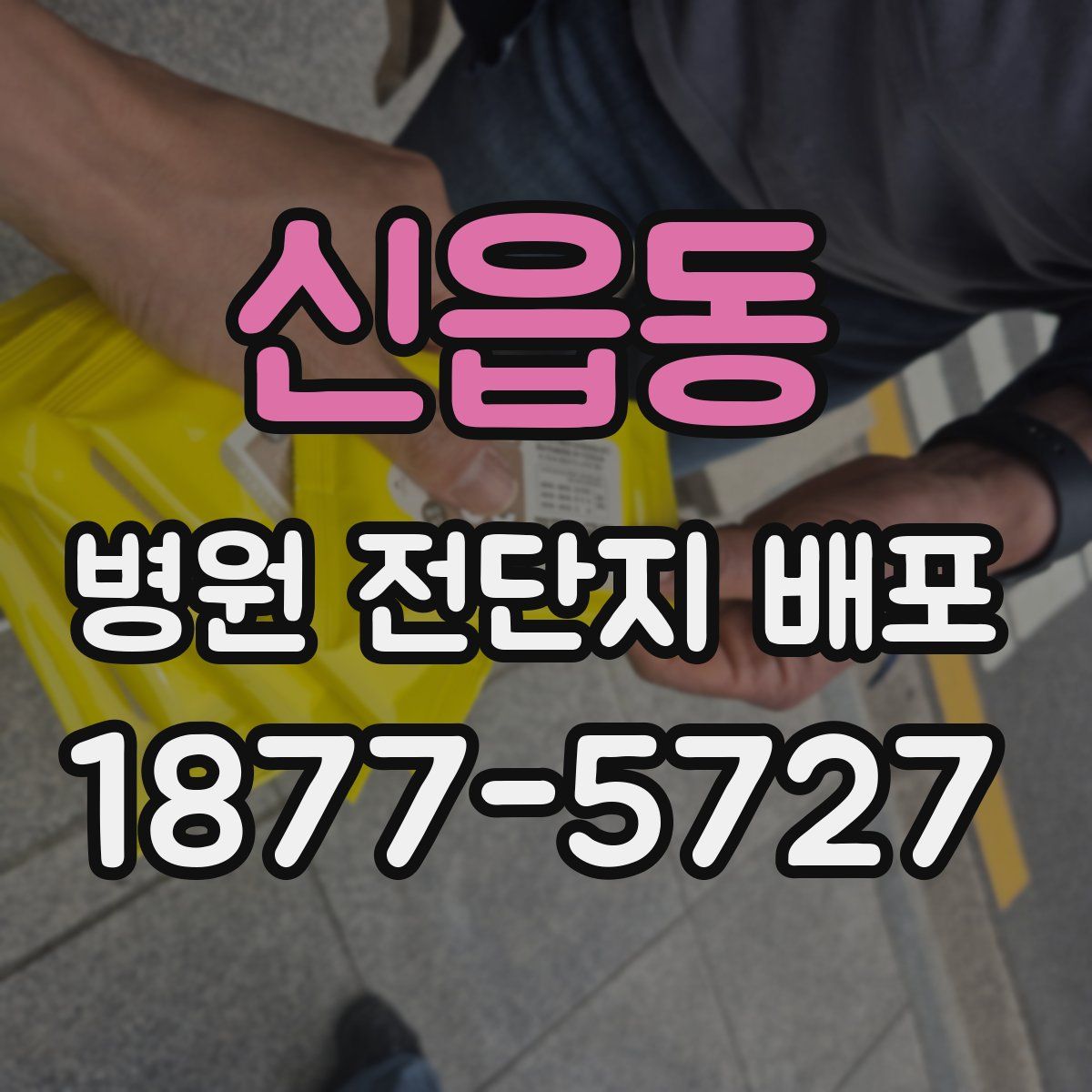 신읍동 병원 전단지 배포