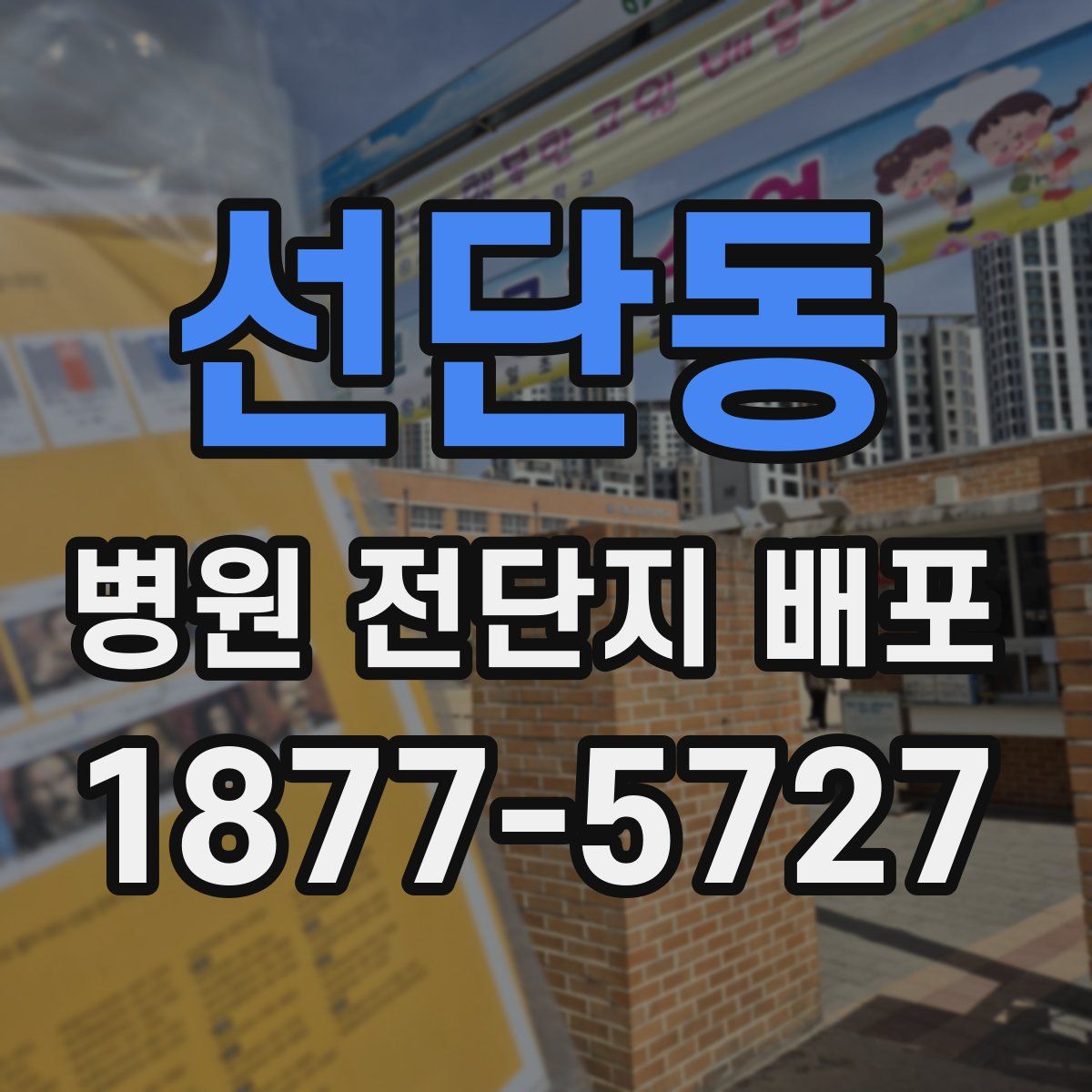 선단동 병원 전단지 배포