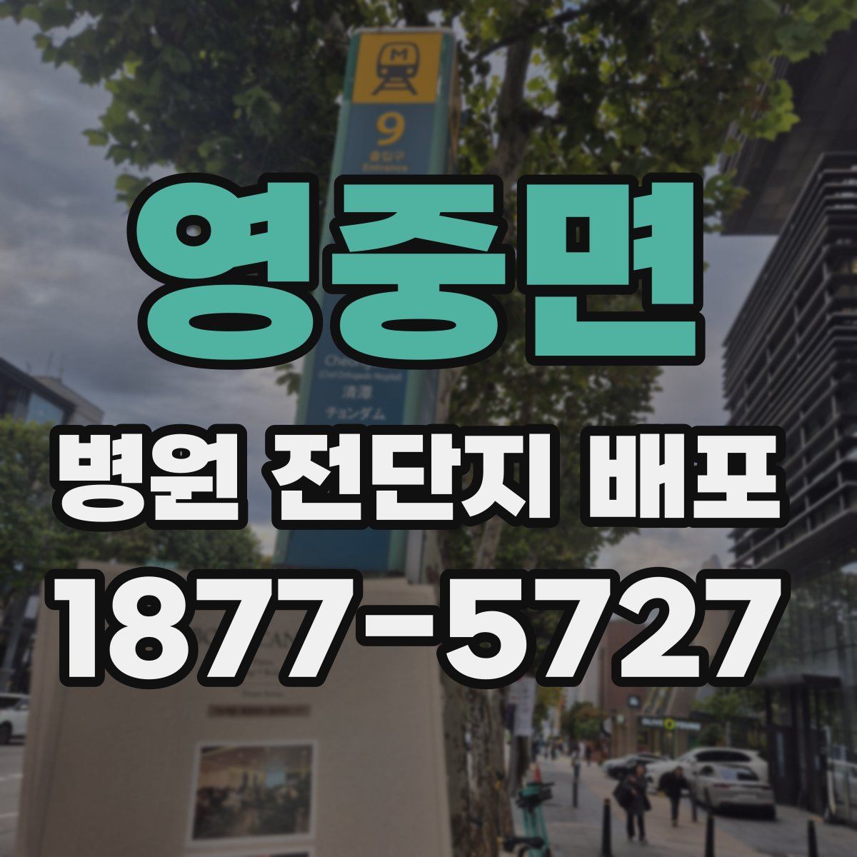 영중면 병원 전단지 배포