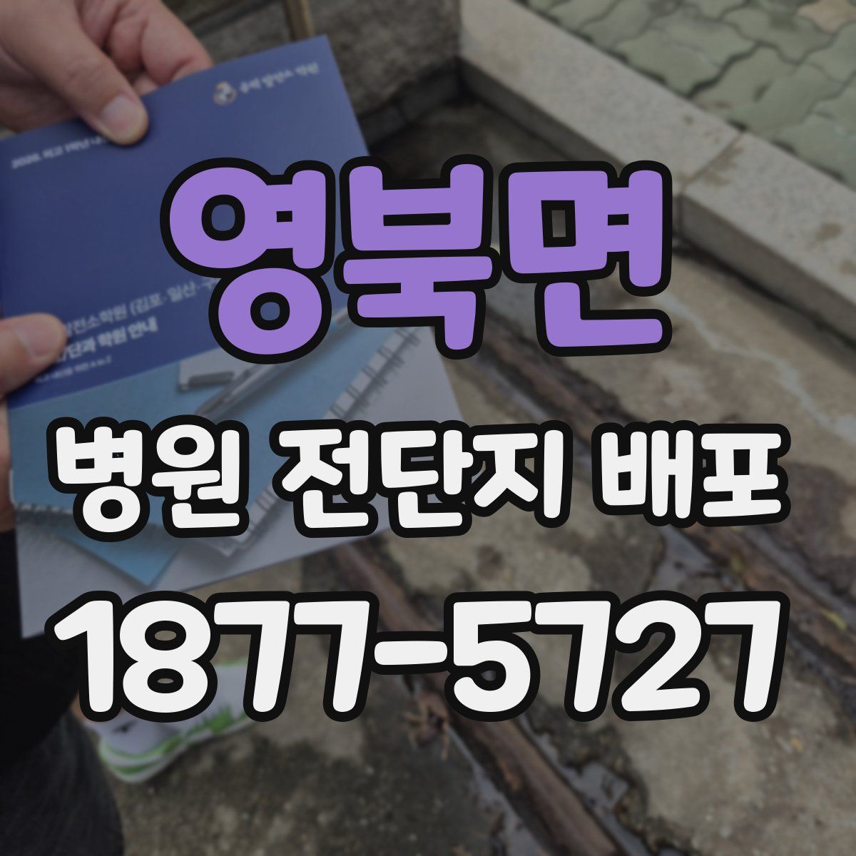 영북면 병원 전단지 배포