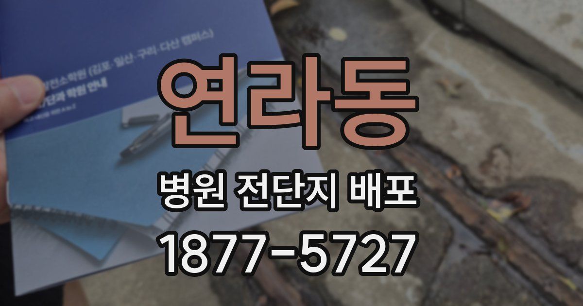 연라동 병원 전단지 배포
