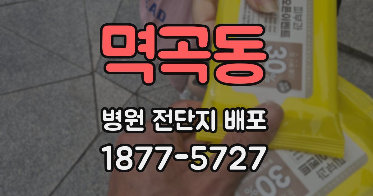 멱곡동 병원 전단지 배포