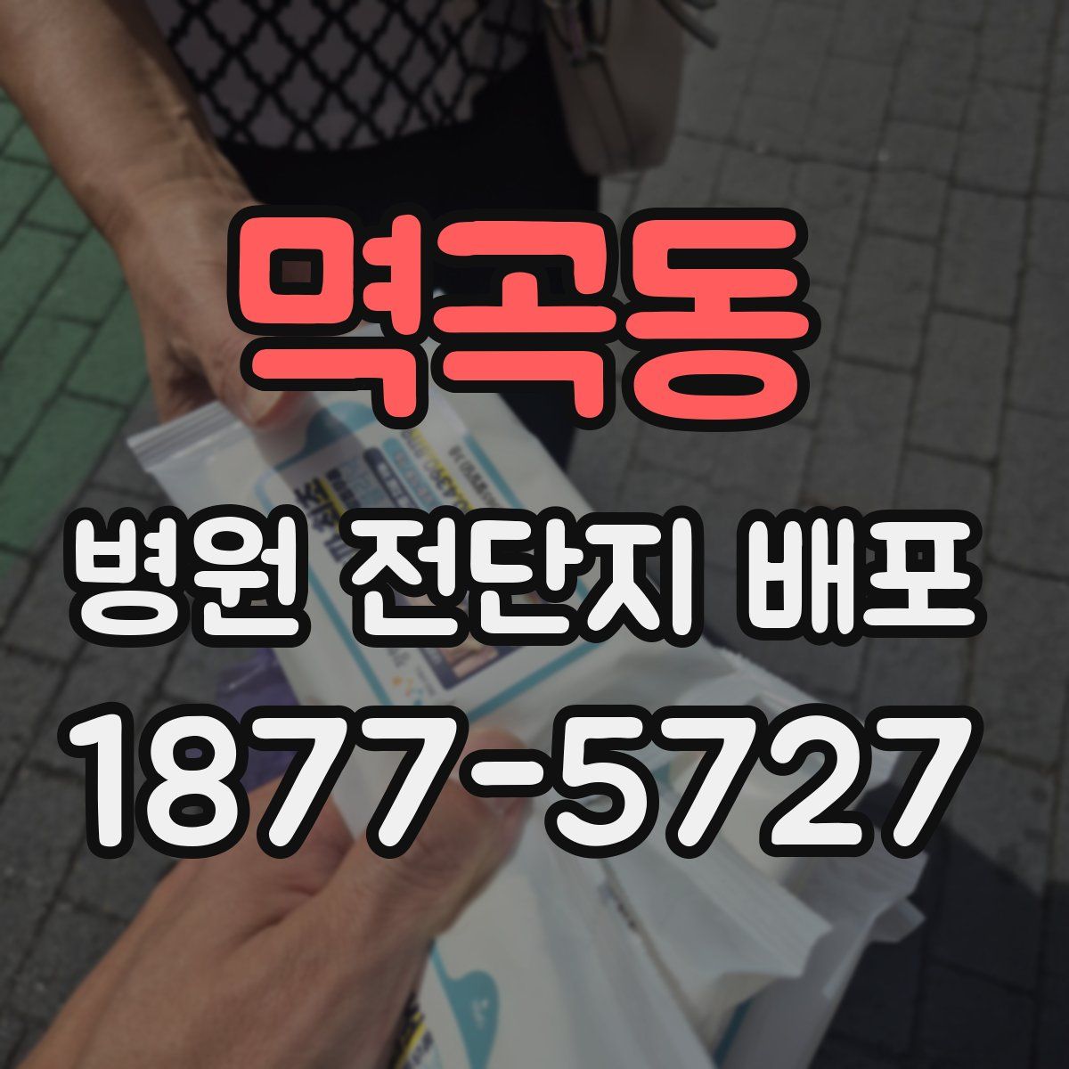 멱곡동 병원 전단지 배포