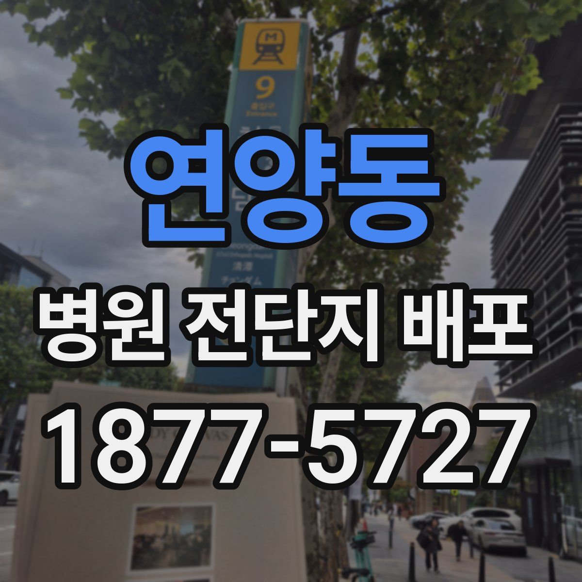 연양동 병원 전단지 배포