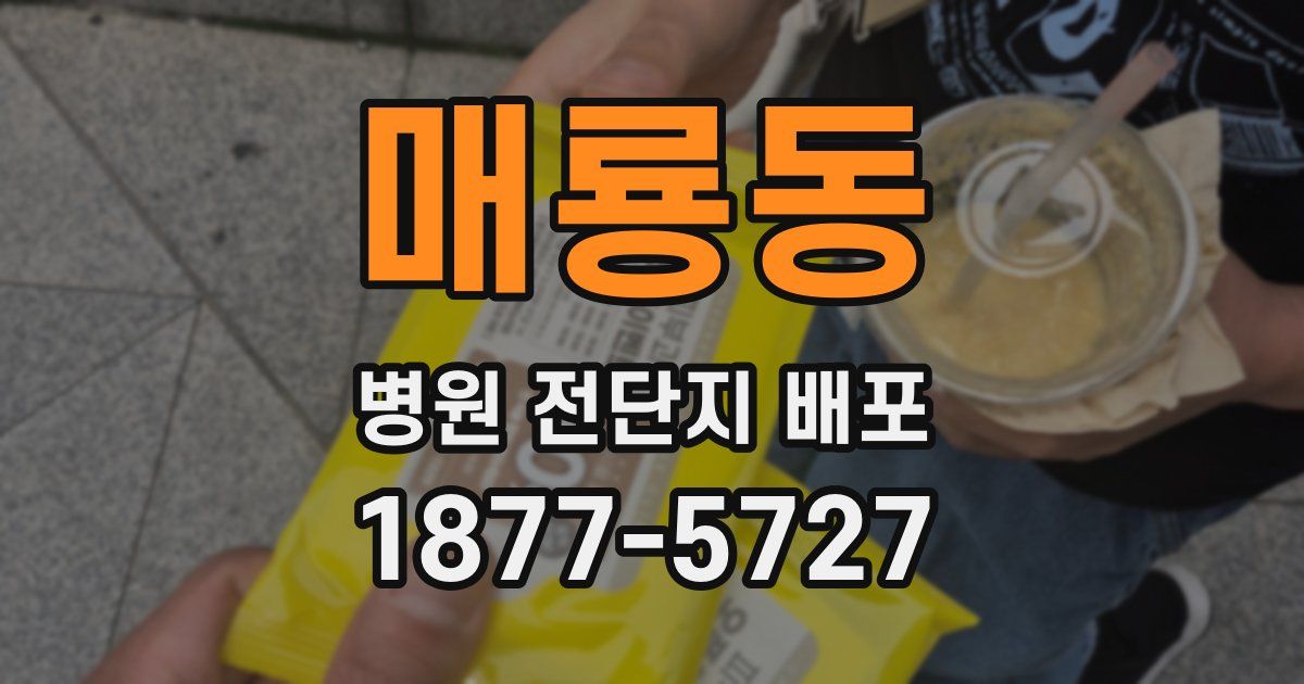 매룡동 병원 전단지 배포