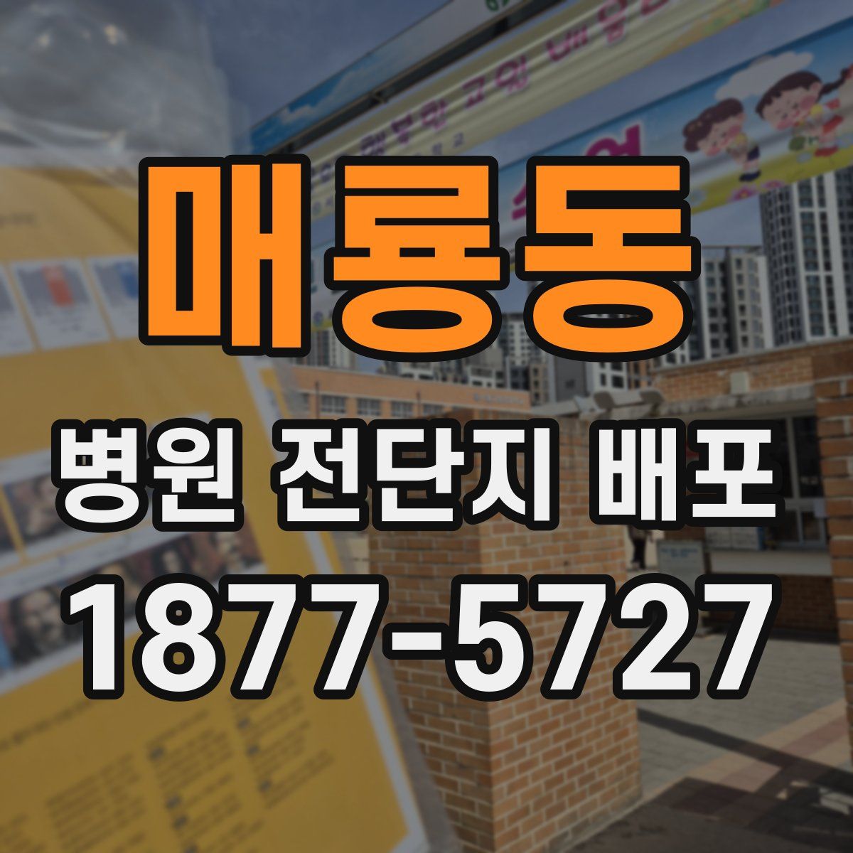 매룡동 병원 전단지 배포