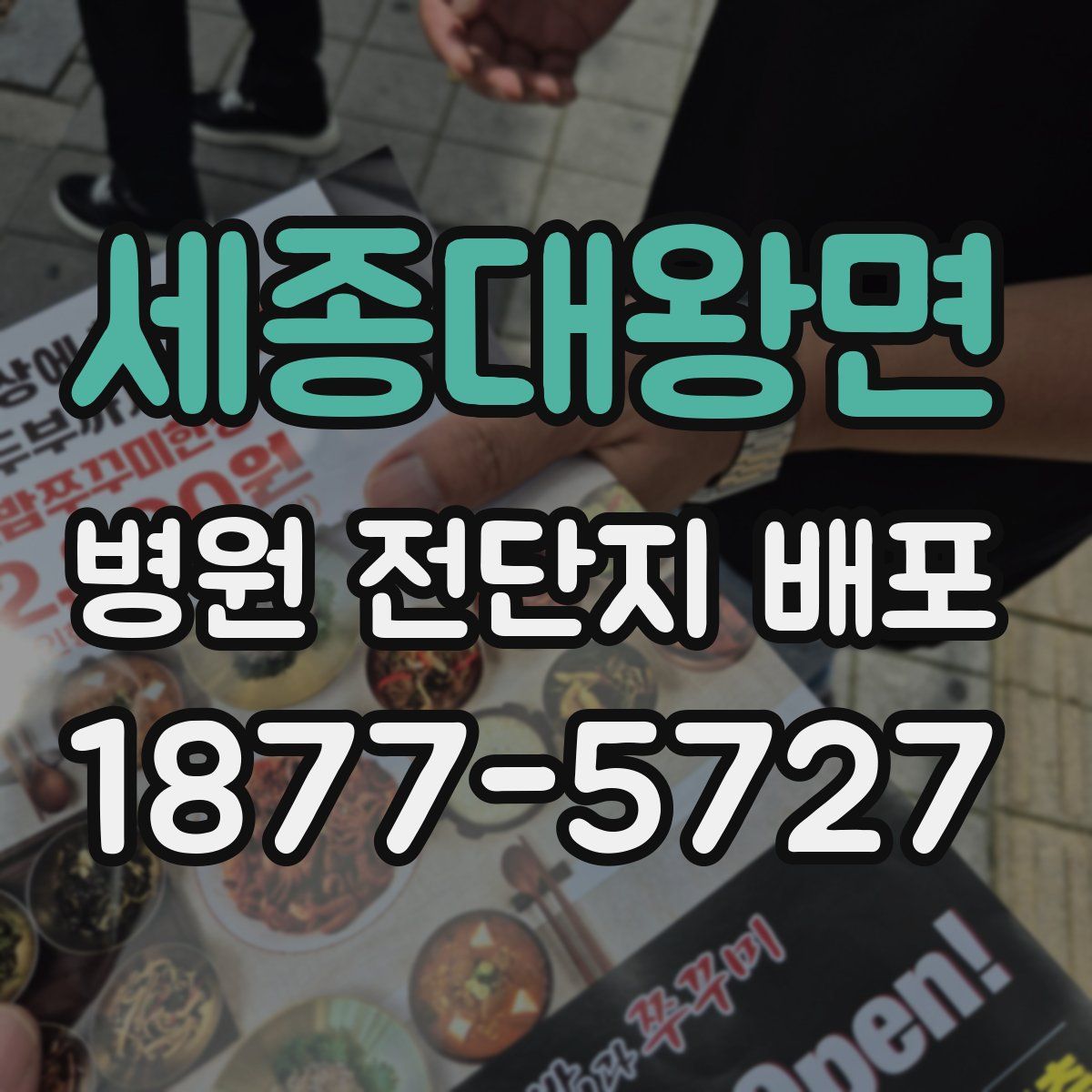 세종대왕면 병원 전단지 배포