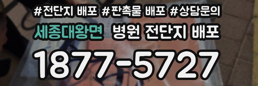 세종대왕면 병원 전단지 배포