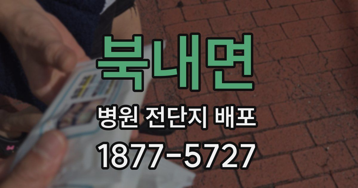 북내면 병원 전단지 배포