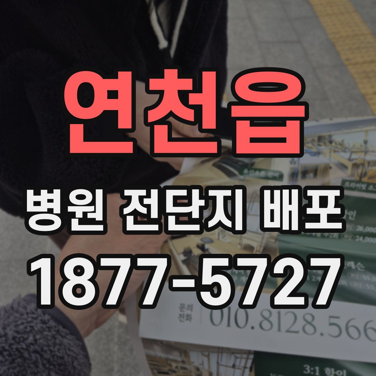 연천읍 병원 전단지 배포