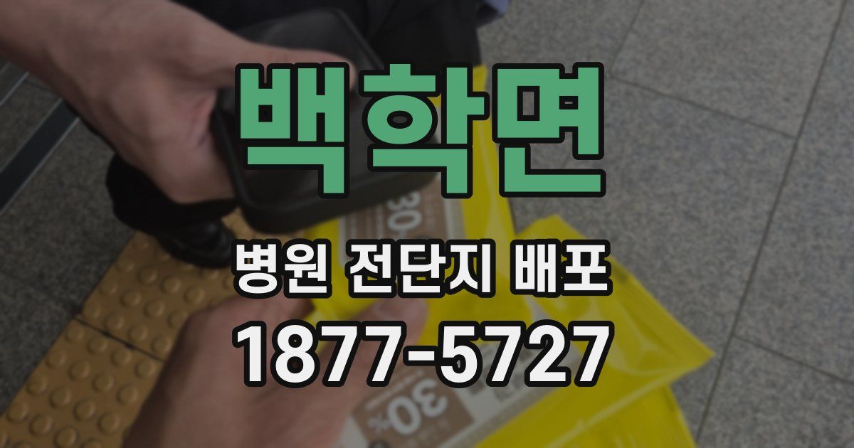 백학면 병원 전단지 배포
