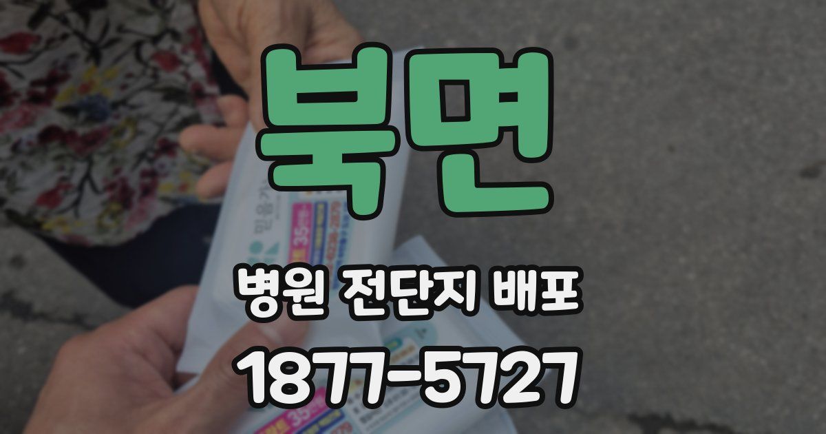북면 병원 전단지 배포