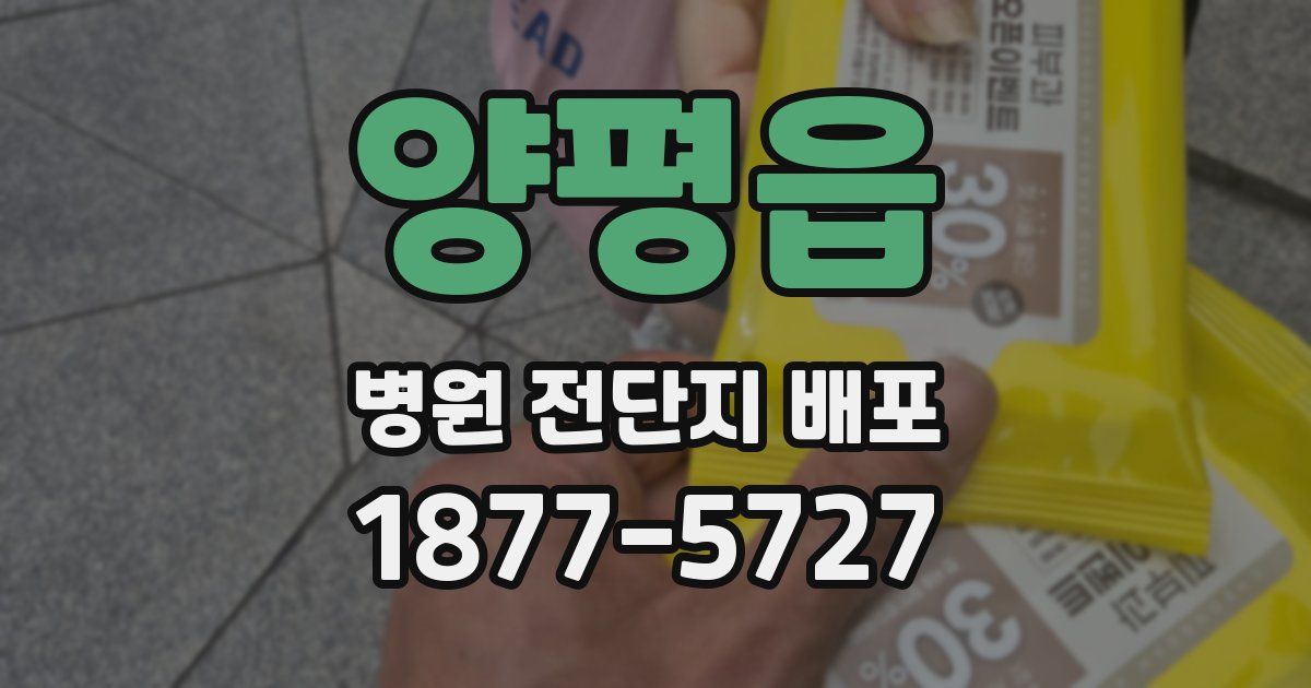 양평읍 병원 전단지 배포