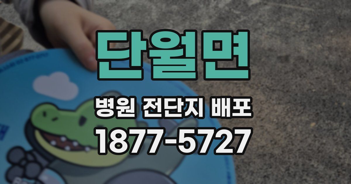단월면 병원 전단지 배포