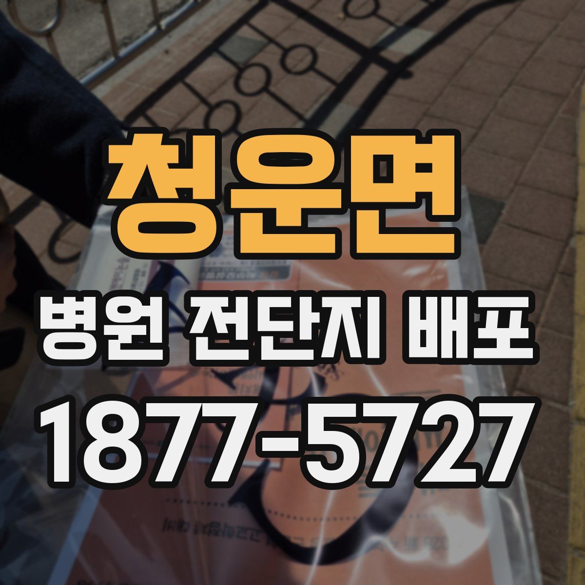 청운면 병원 전단지 배포