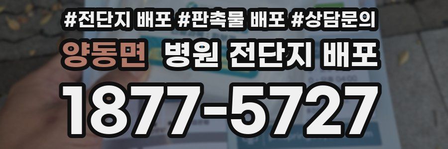 양동면 병원 전단지 배포