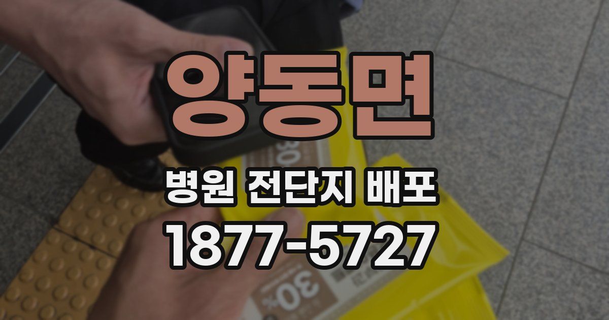 양동면 병원 전단지 배포