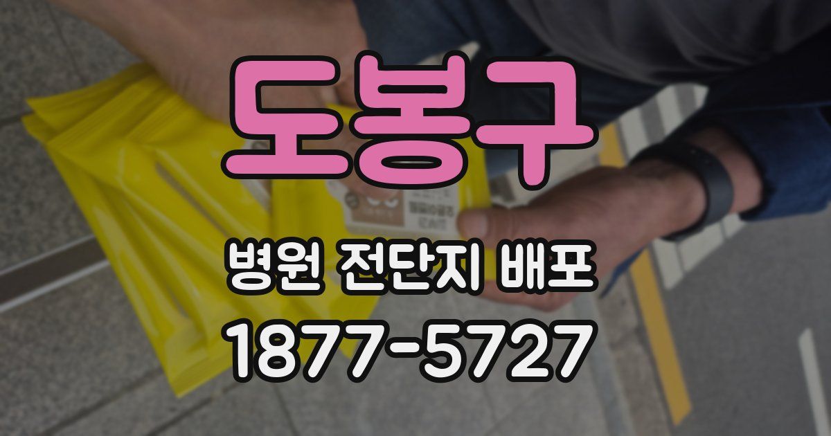도봉구 병원 전단지 배포