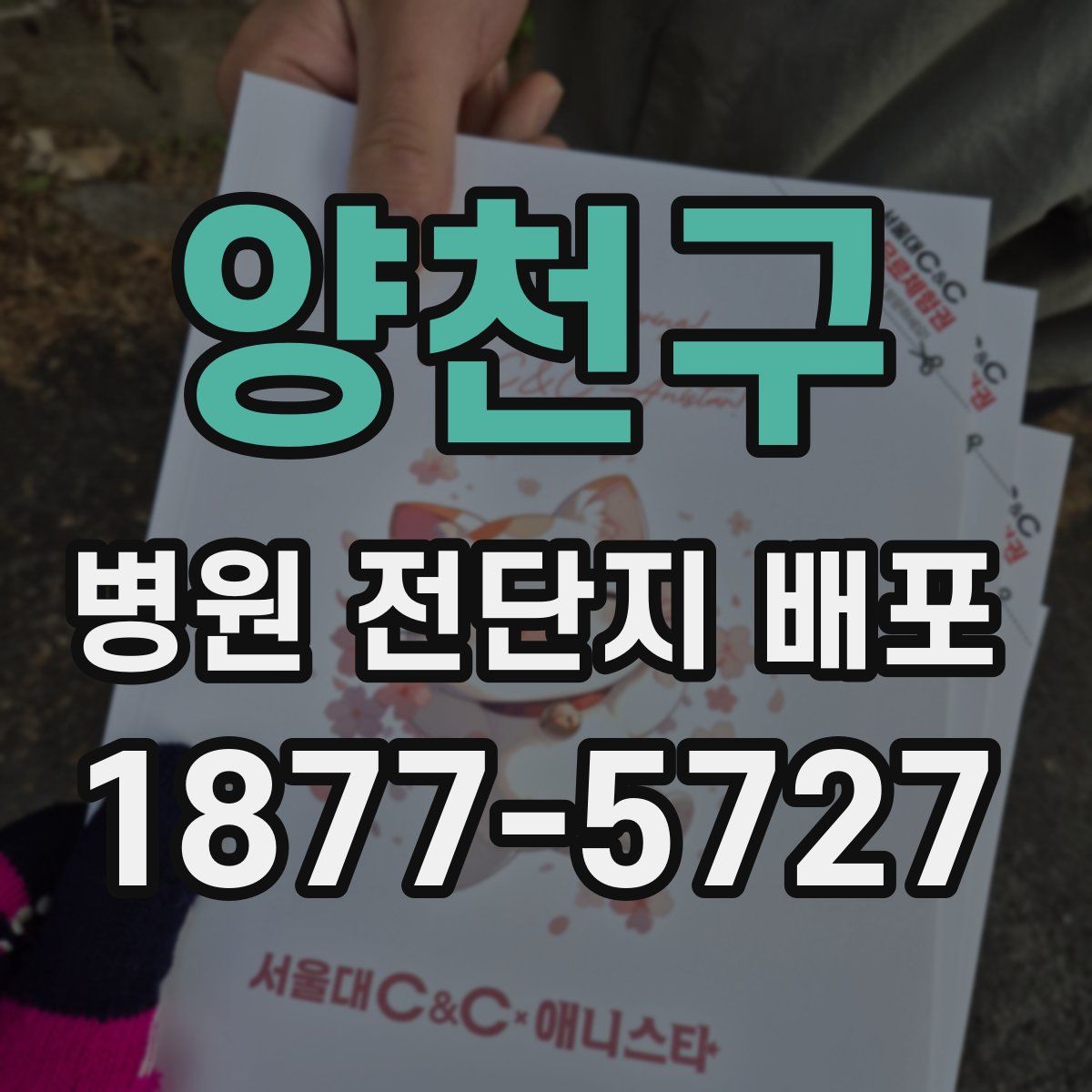 양천구 병원 전단지 배포