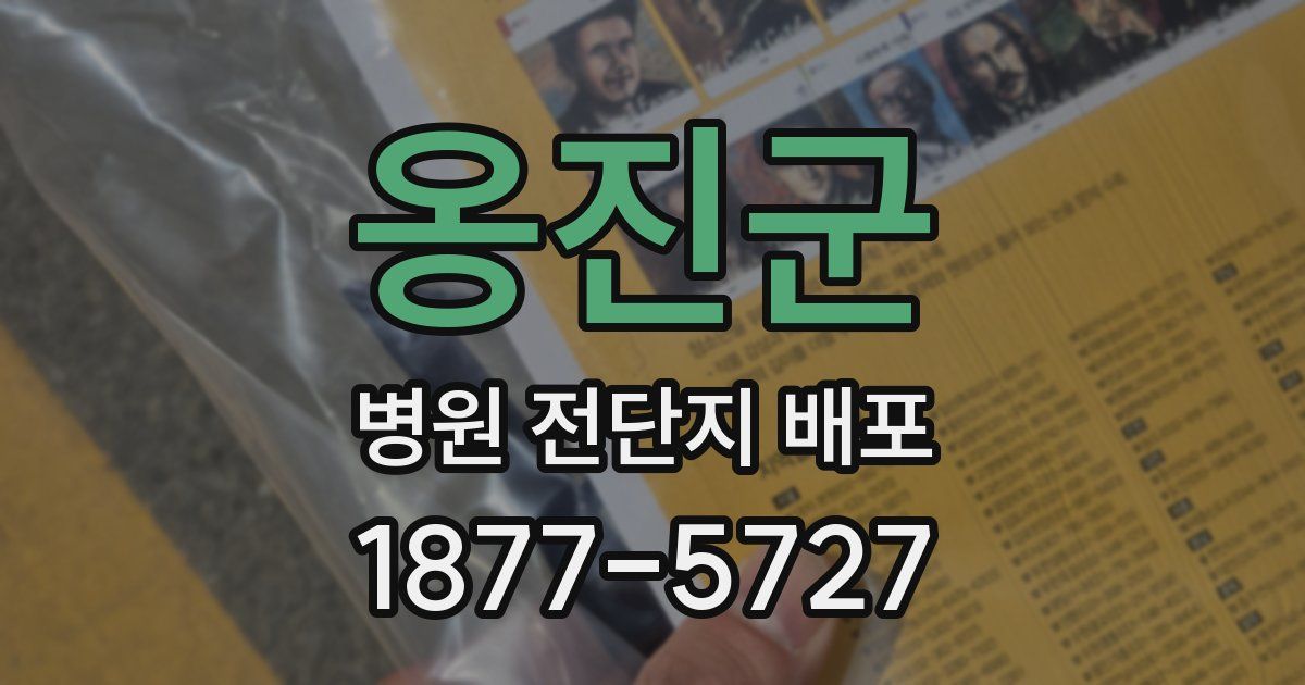 옹진군 병원 전단지 배포