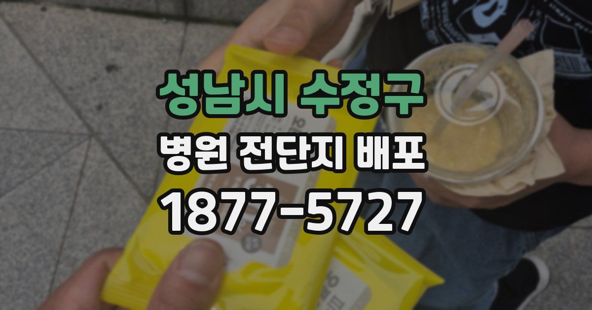 성남시 수정구 병원 전단지 배포