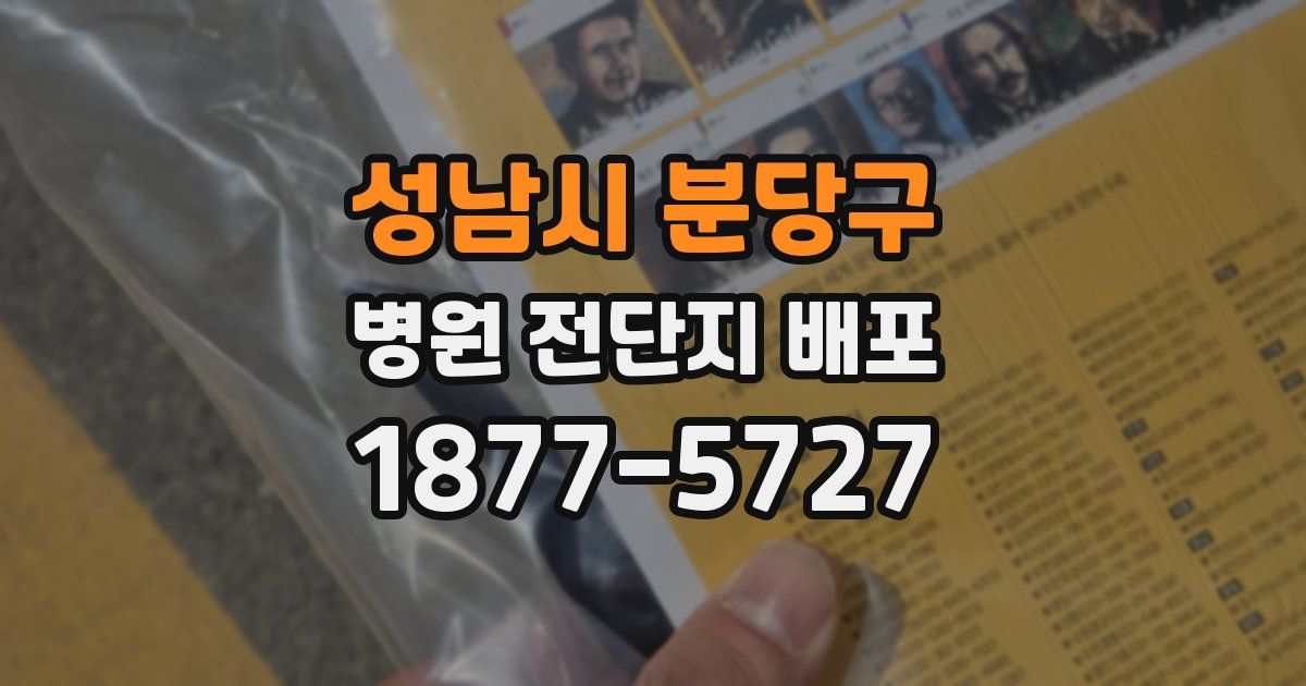 성남시 분당구 병원 전단지 배포