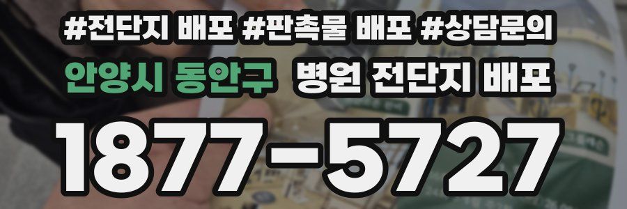 안양시 동안구 병원 전단지 배포