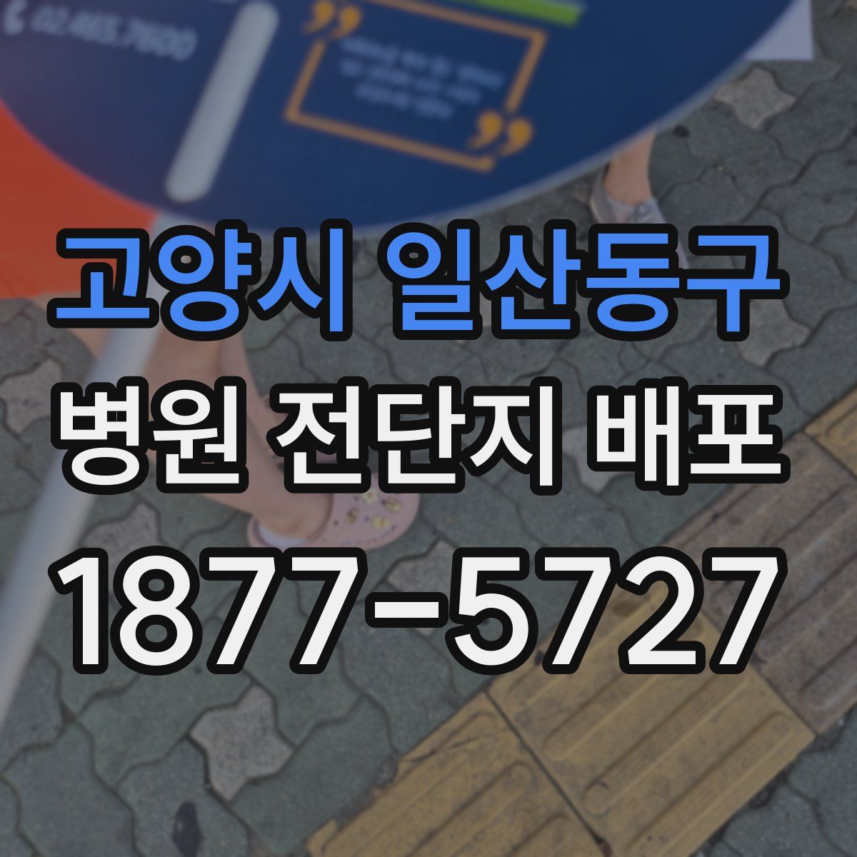 고양시 일산동구 병원 전단지 배포