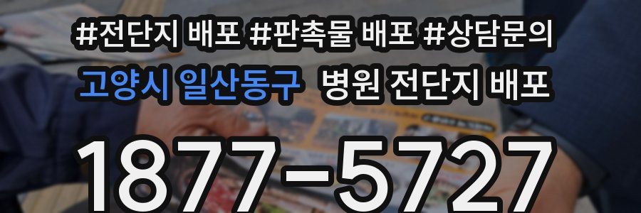 고양시 일산동구 병원 전단지 배포