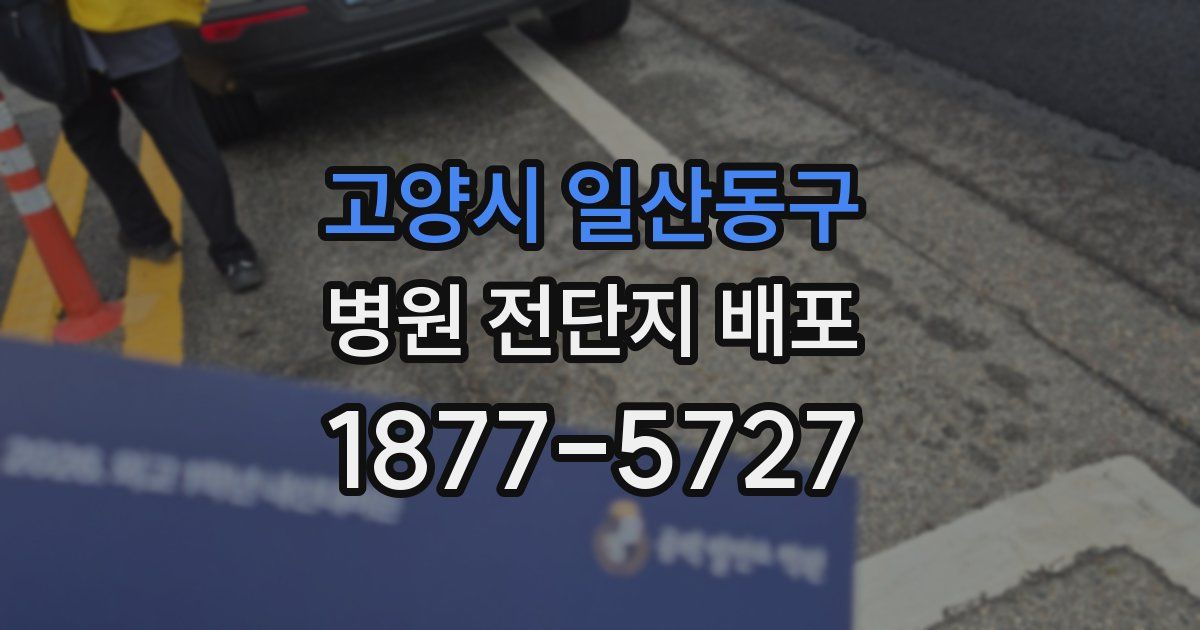 고양시 일산동구 병원 전단지 배포