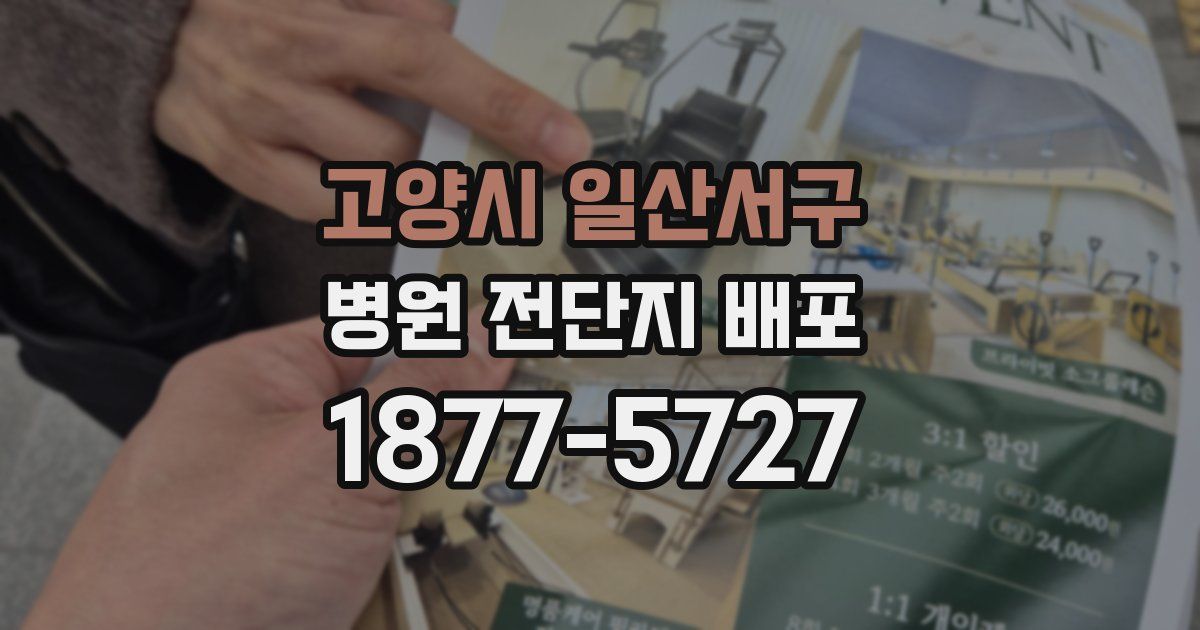 고양시 일산서구 병원 전단지 배포