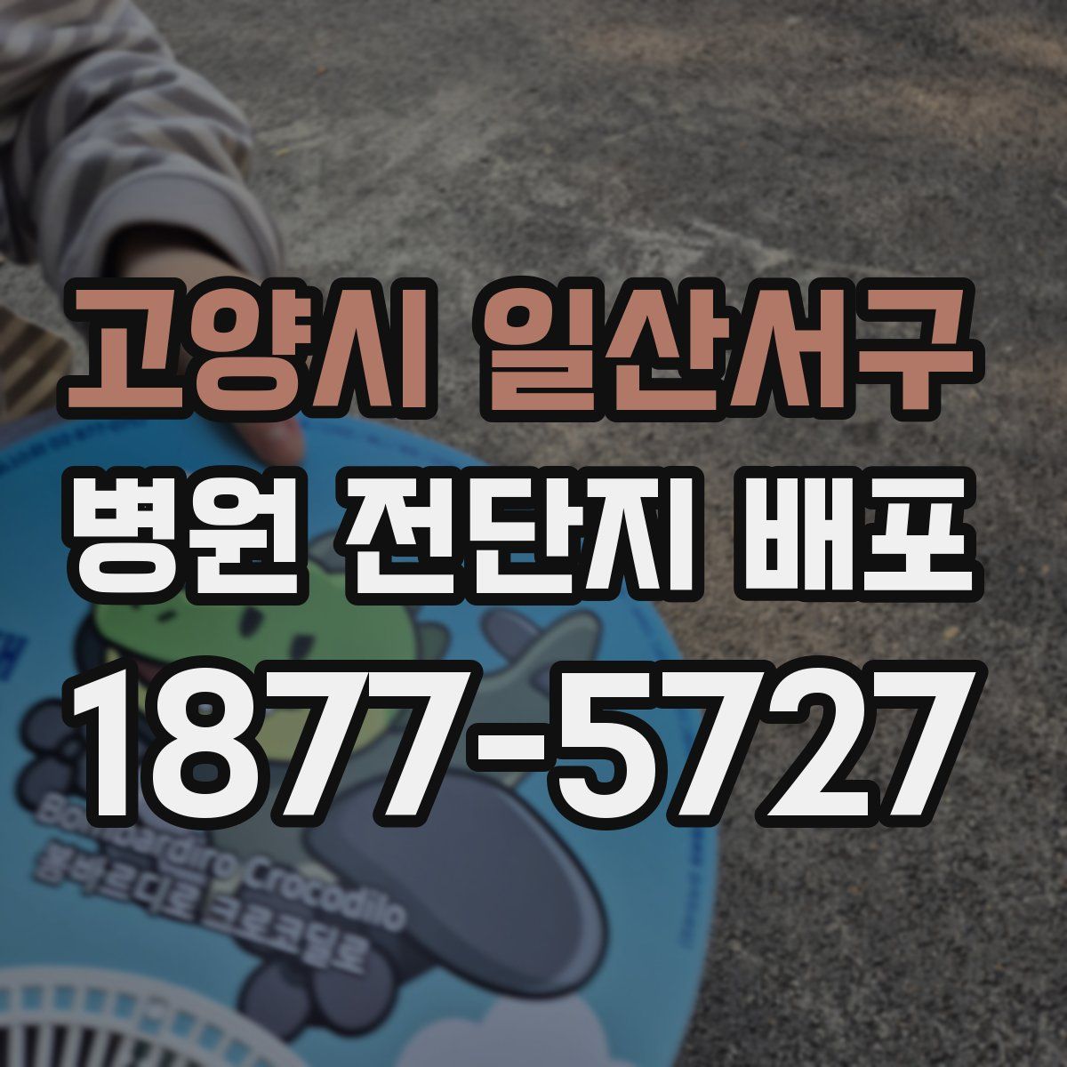 고양시 일산서구 병원 전단지 배포