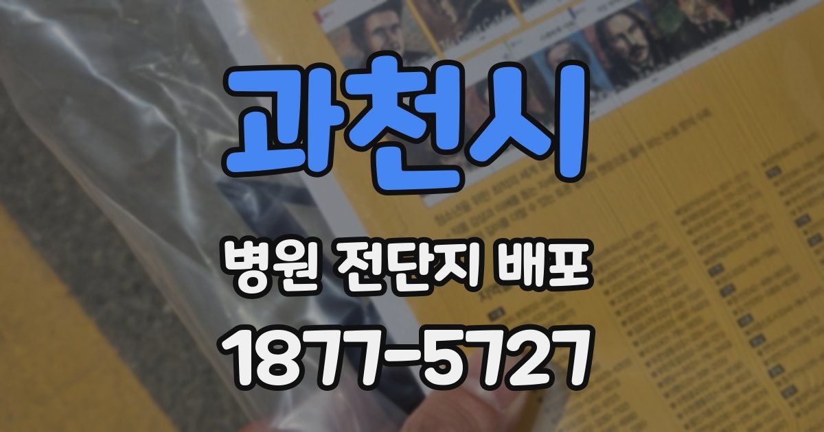 과천시 병원 전단지 배포
