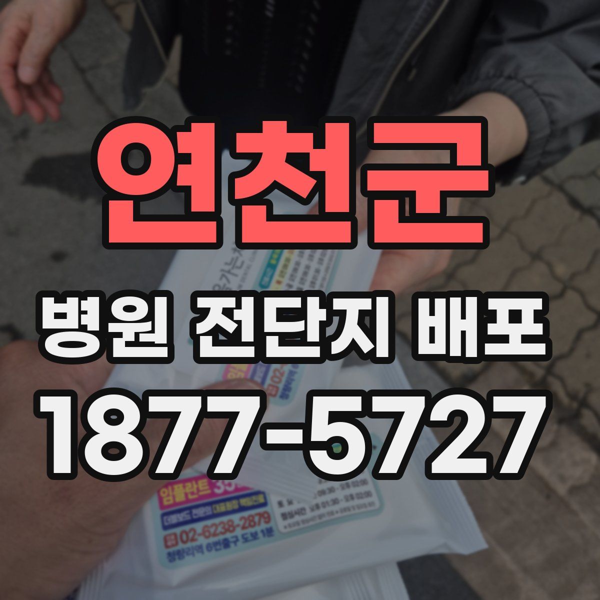 연천군 병원 전단지 배포