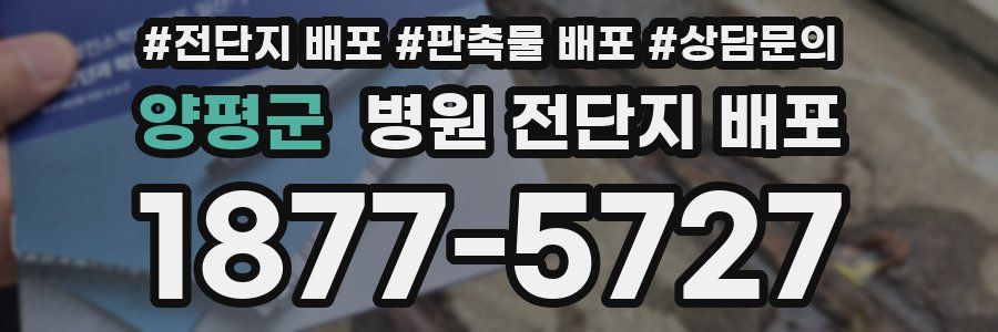 양평군 병원 전단지 배포