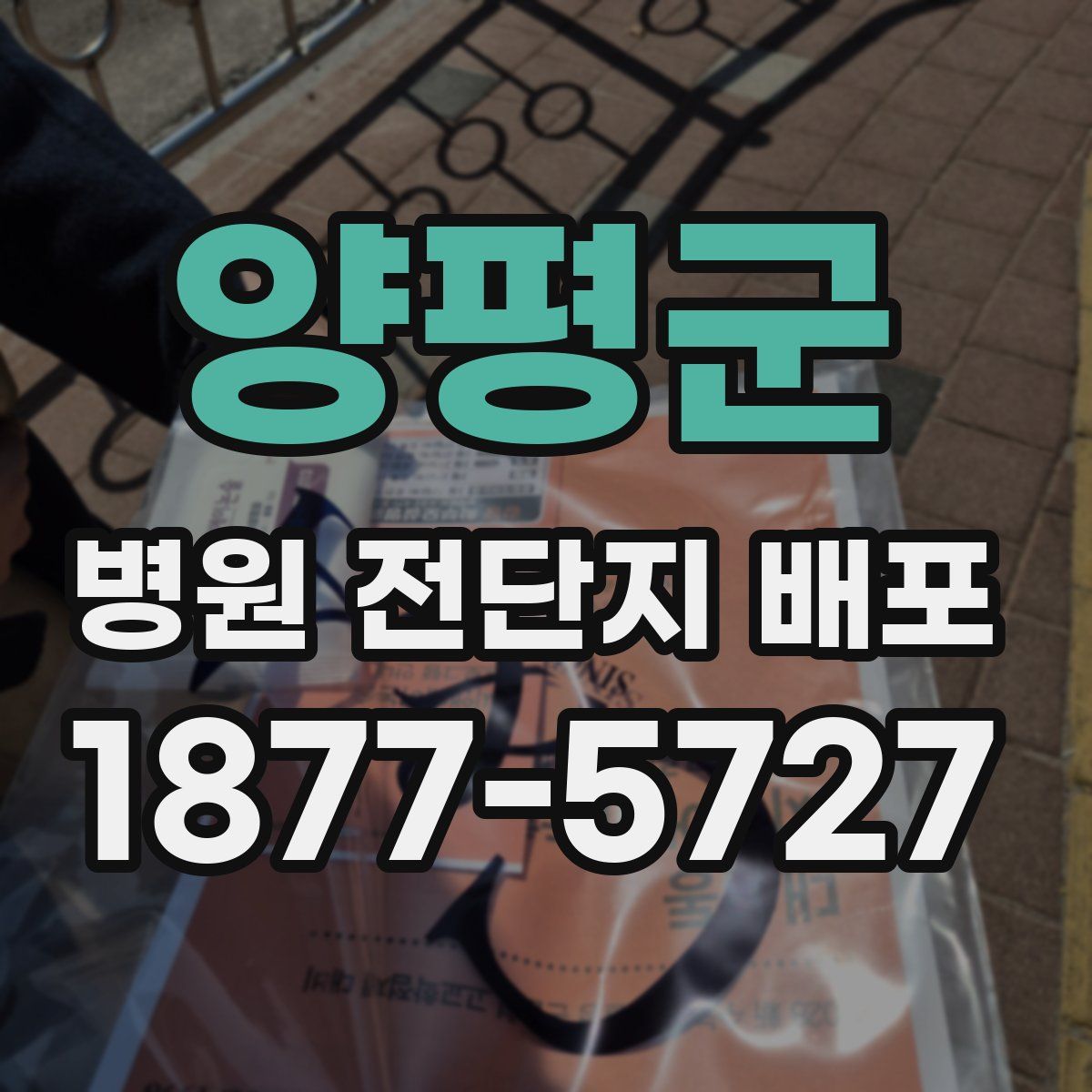 양평군 병원 전단지 배포