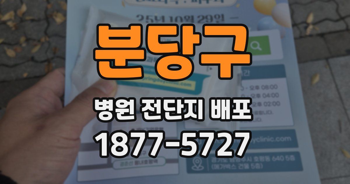 분당구 병원 전단지 배포
