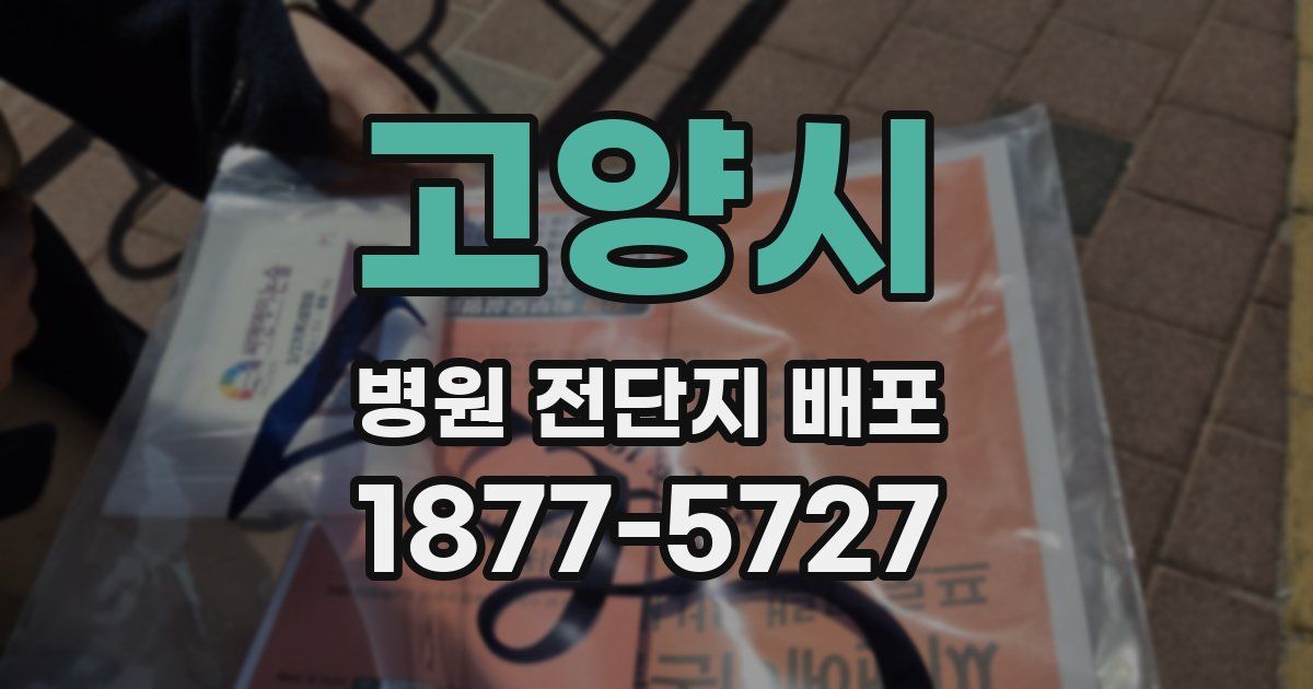 고양시 병원 전단지 배포