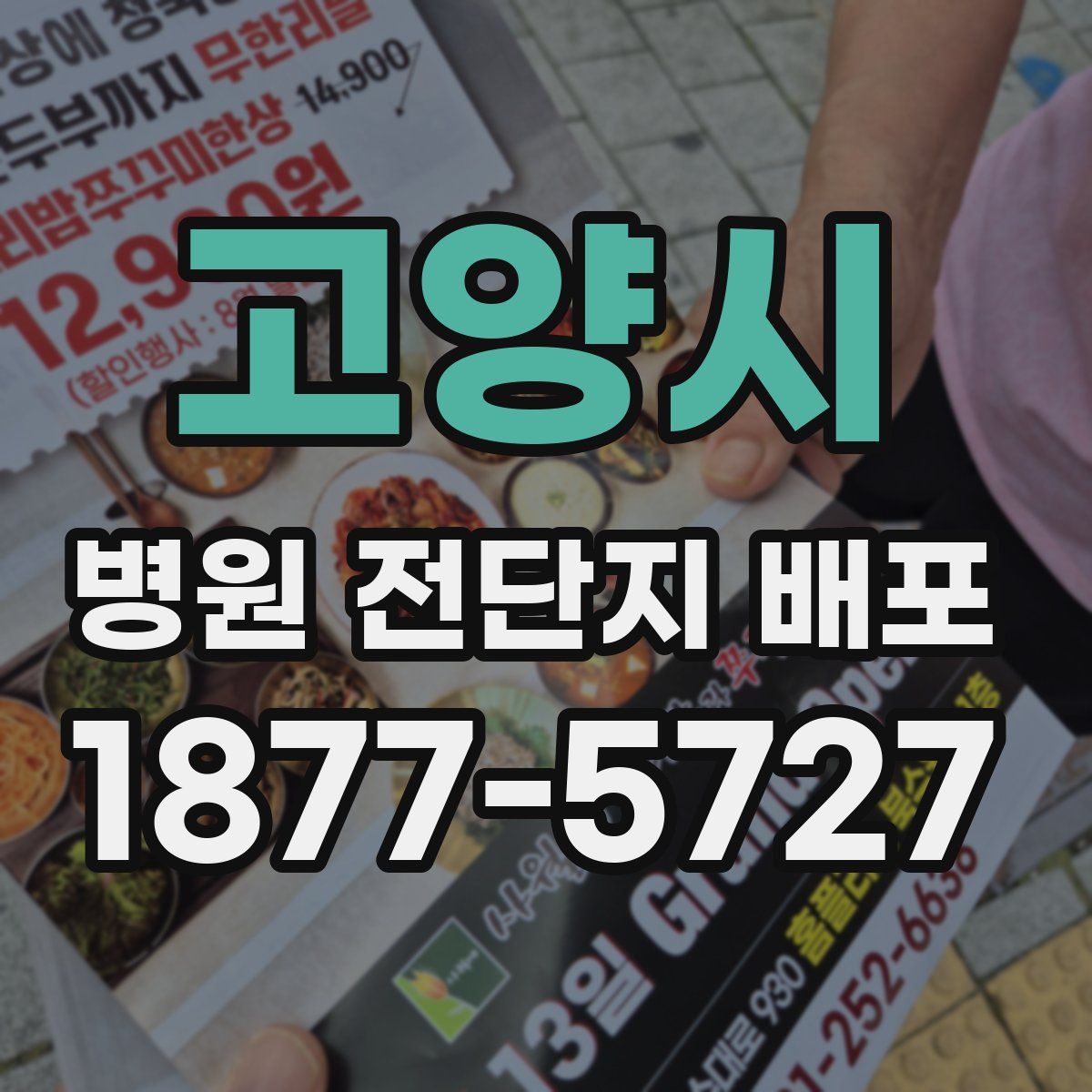 고양시 병원 전단지 배포