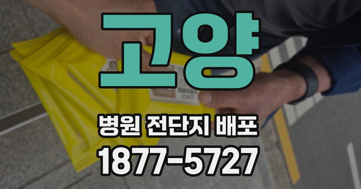 고양 병원 전단지 배포