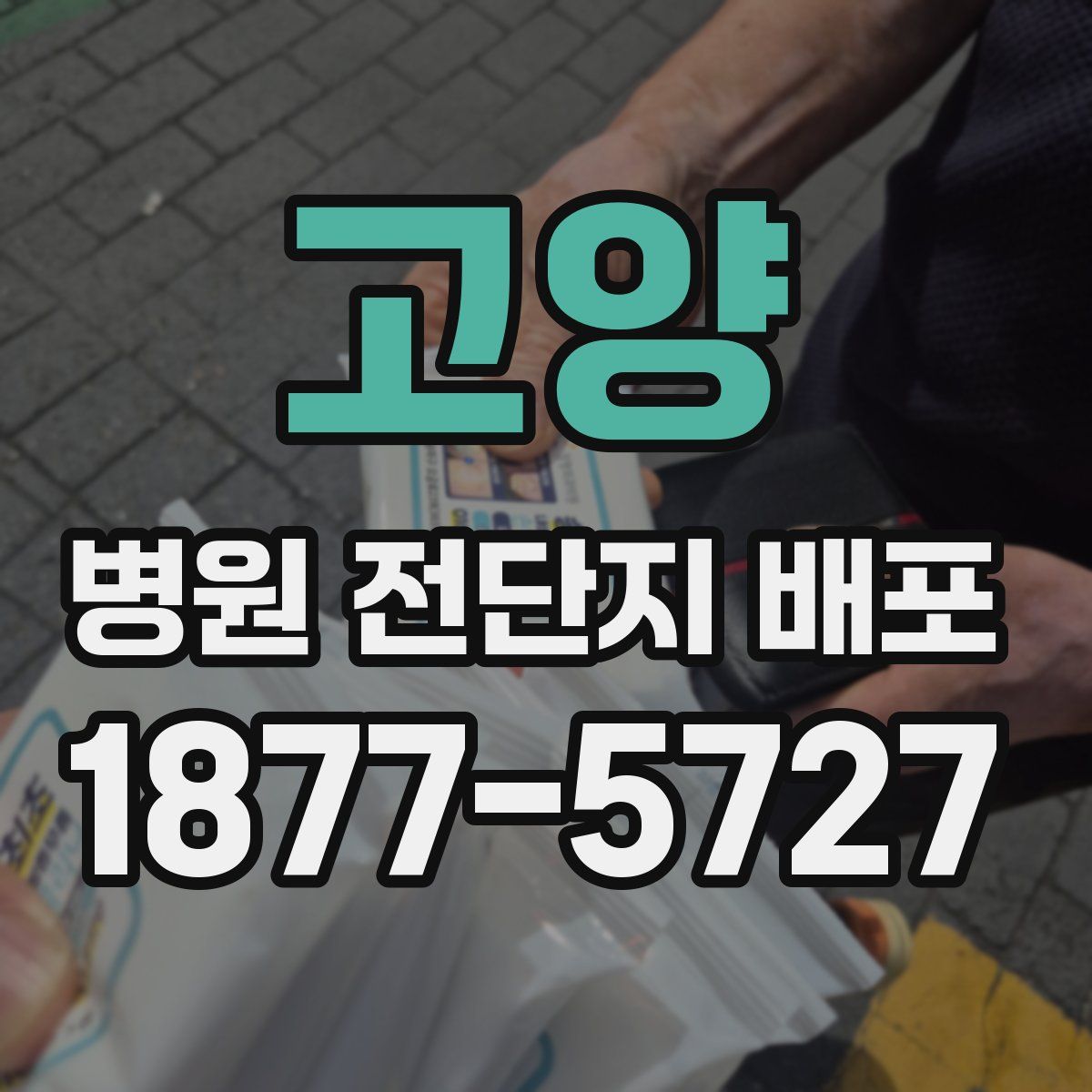 고양 병원 전단지 배포