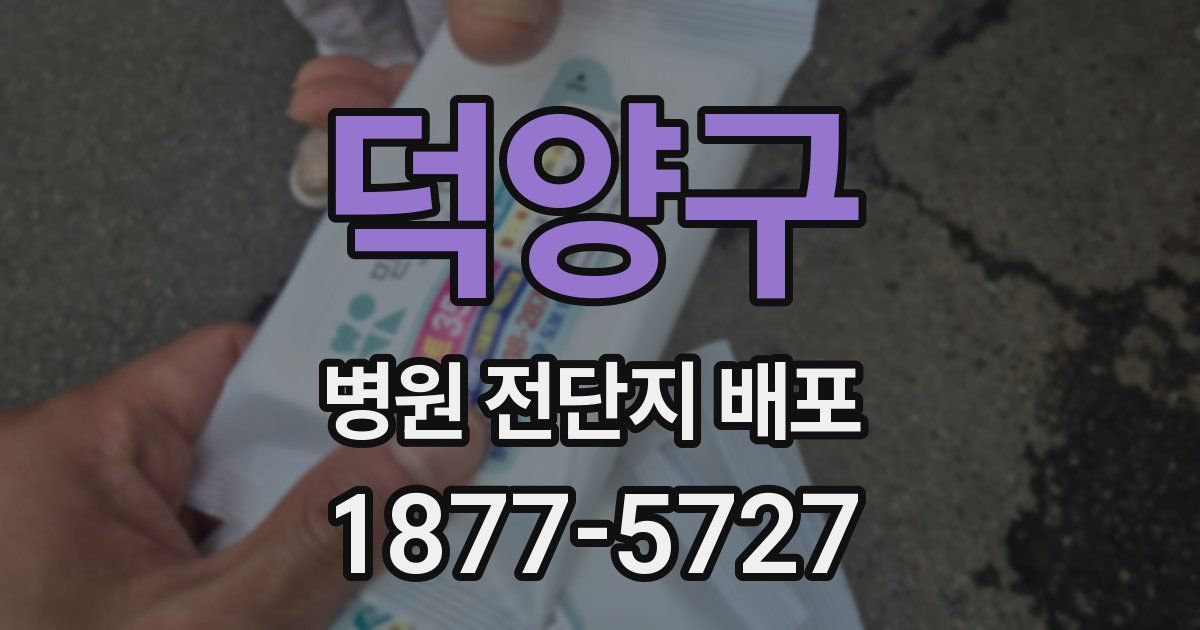 덕양구 병원 전단지 배포