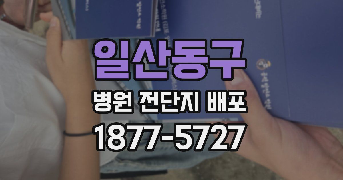 일산동구 병원 전단지 배포