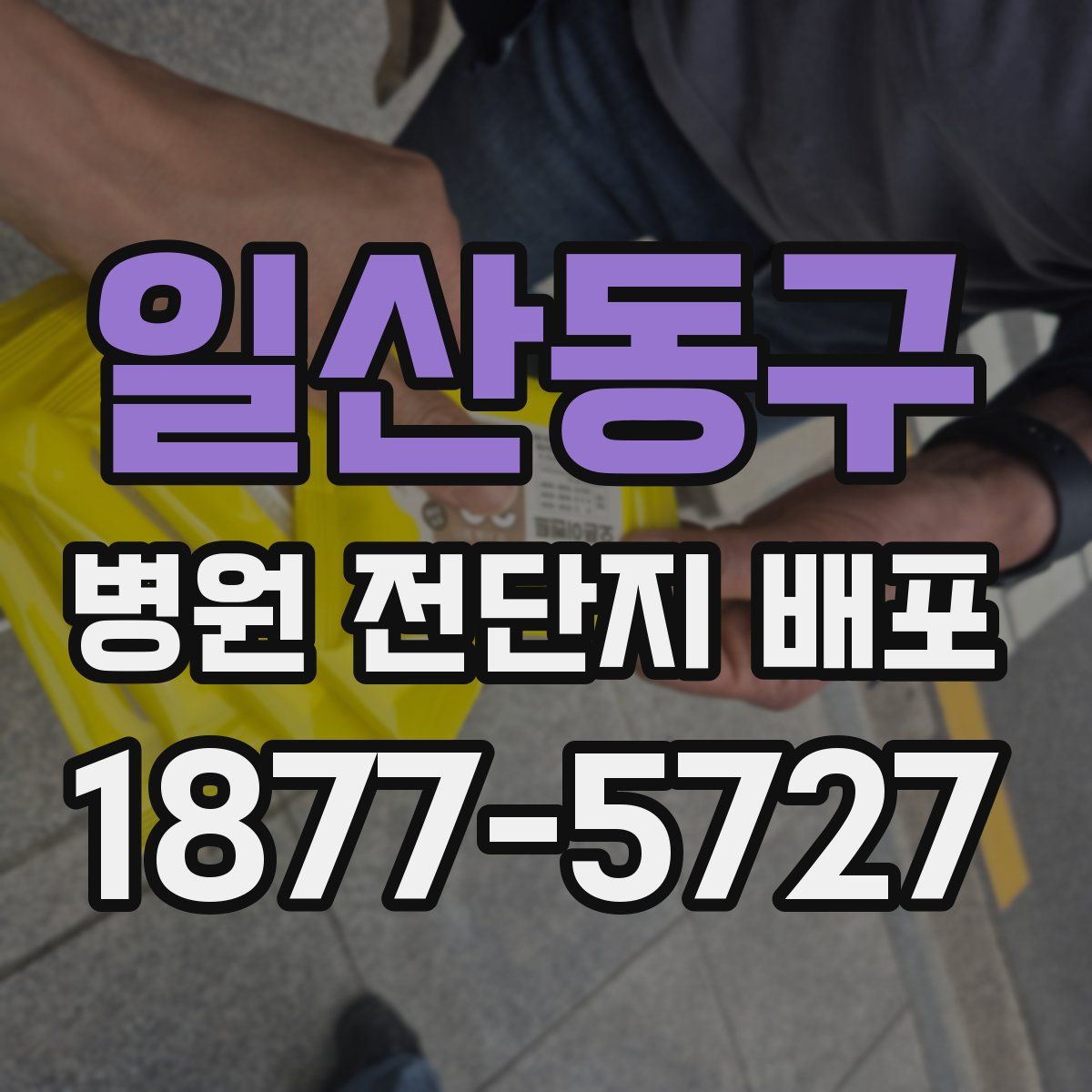 일산동구 병원 전단지 배포