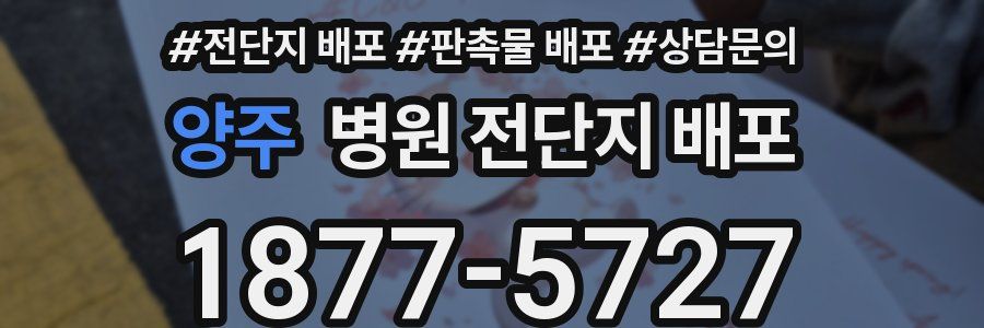 양주 병원 전단지 배포